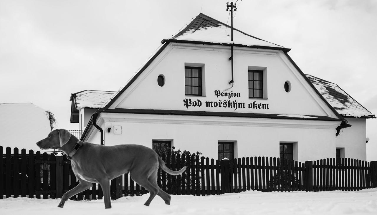 Pension Pod Morskym Okem Karlovice  Экстерьер фото