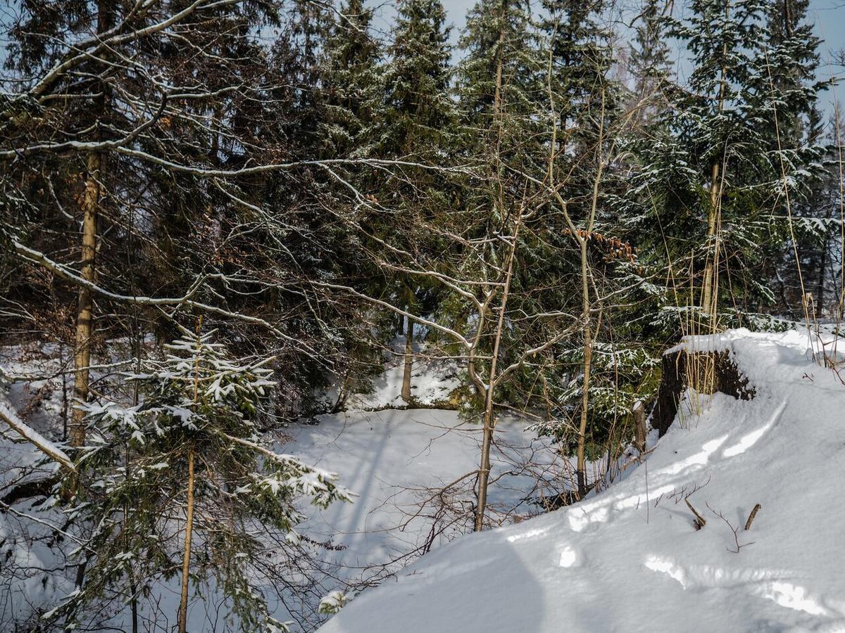 Pension Pod Morskym Okem Karlovice  Экстерьер фото